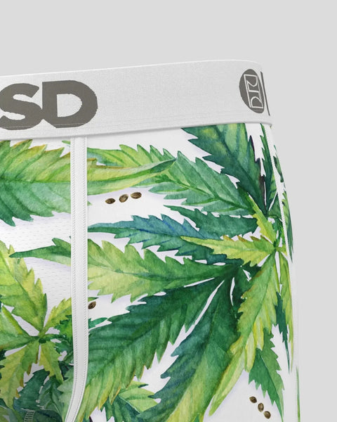 Seeds & Stems