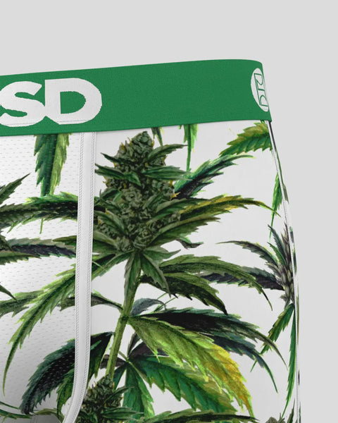 Buds & Bloom XS / MULTI