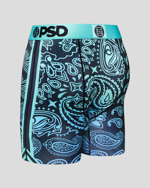 Ice Paisley